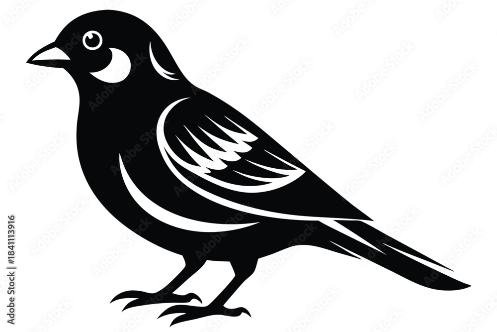Obraz premium canary silhouette line art vector illustration with a white background