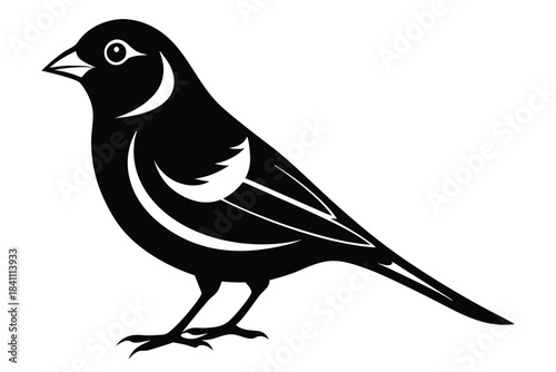 canary silhouette line art vector illustration with a white background