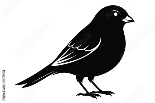 canary silhouette line art vector illustration with a white background