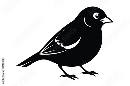 canary silhouette line art vector illustration with a white background