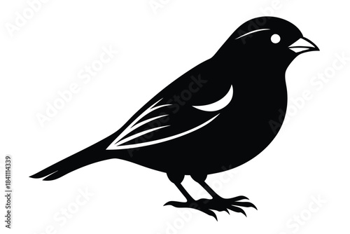 canary silhouette line art vector illustration with a white background
