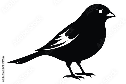 canary silhouette line art vector illustration with a white background
