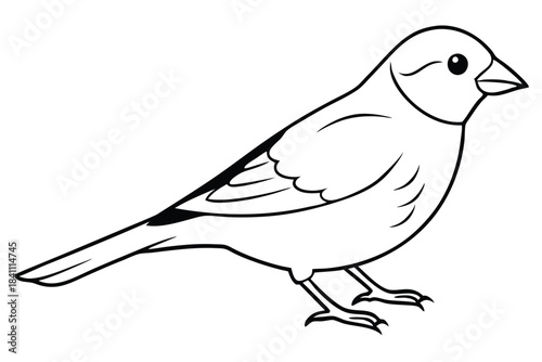 canary silhouette line art vector illustration with a white background