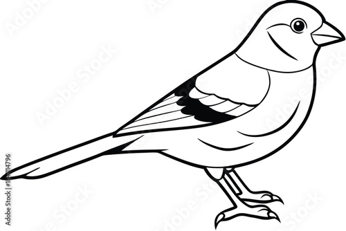 canary silhouette line art vector illustration with a white background