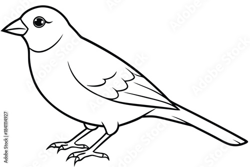 canary silhouette line art vector illustration with a white background