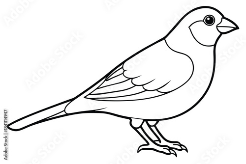 canary silhouette line art vector illustration with a white background