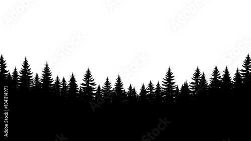 Silhouette of a dense pine forest tree line against white