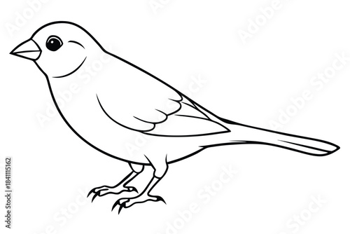 canary silhouette line art vector illustration with a white background