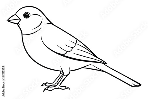 canary silhouette line art vector illustration with a white background