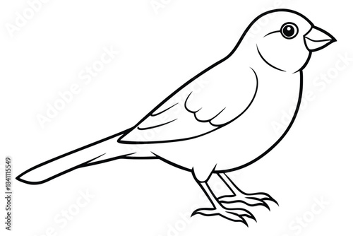 canary silhouette line art vector illustration with a white background
