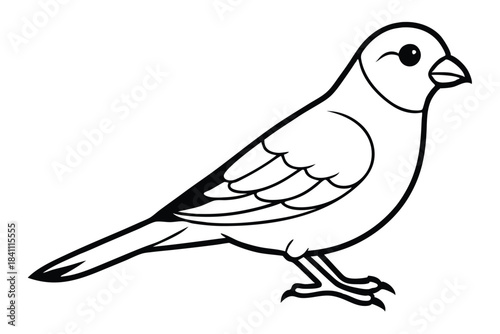 canary silhouette line art vector illustration with a white background