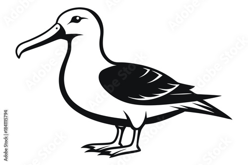 albatross silhouette line art vector illustration with a white background