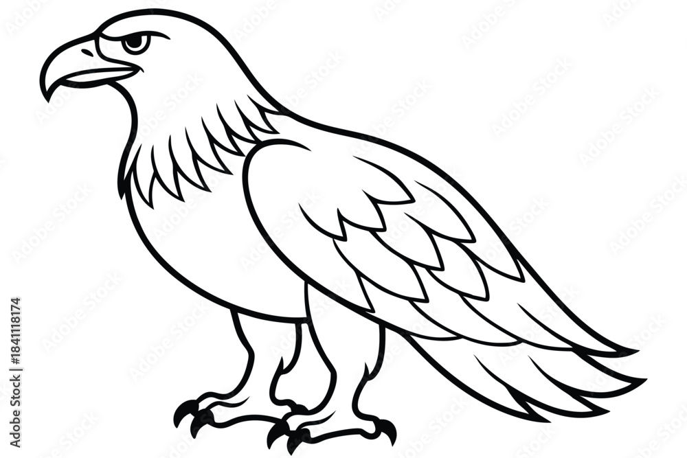 Obraz premium eagle silhouette line art vector illustration with a white background