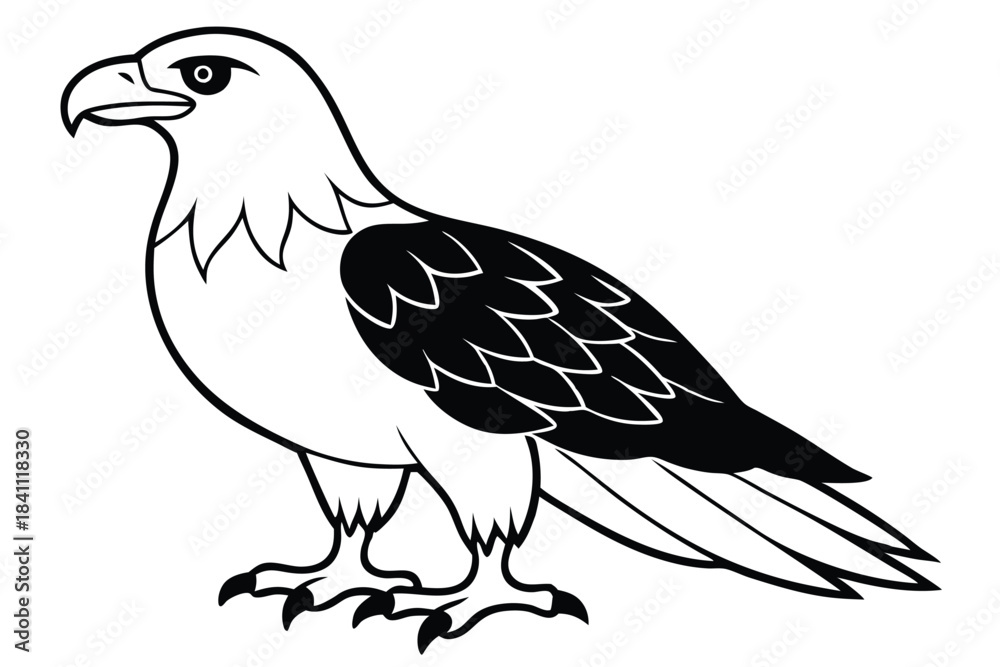 Obraz premium eagle silhouette line art vector illustration with a white background