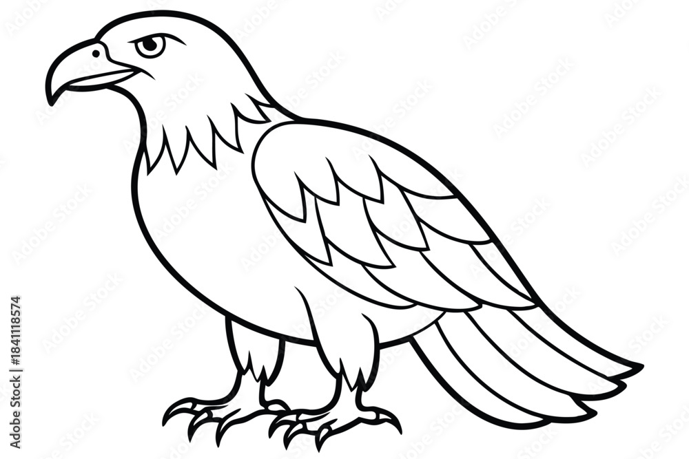Obraz premium eagle silhouette line art vector illustration with a white background