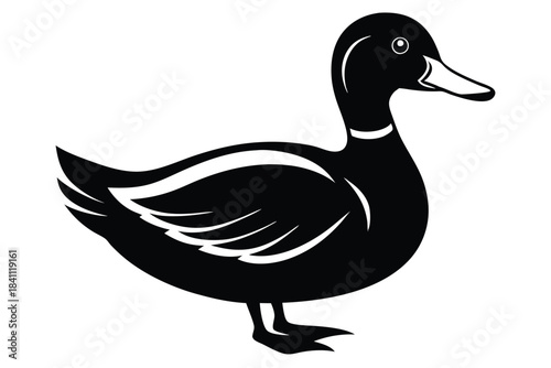 duck silhouette line art vector illustration with a white background