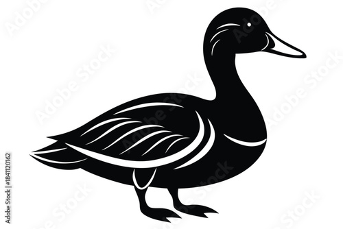 duck silhouette line art vector illustration with a white background