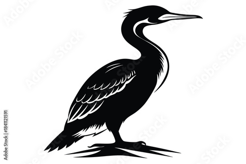 cormorant silhouette line art vector illustration with a white background