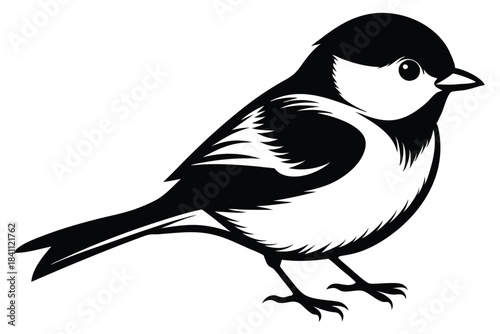chickadee silhouette line art vector illustration with a white background
