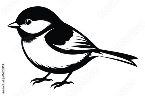 chickadee silhouette line art vector illustration with a white background