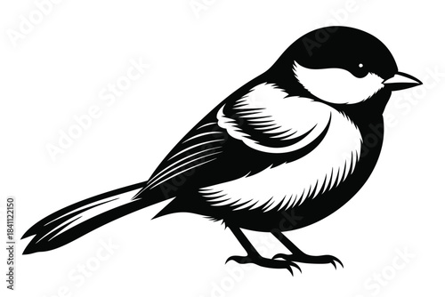 chickadee silhouette line art vector illustration with a white background
