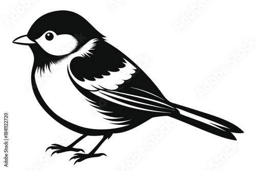 chickadee silhouette line art vector illustration with a white background