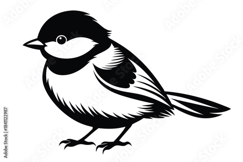 chickadee silhouette line art vector illustration with a white background