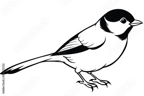 chickadee silhouette line art vector illustration with a white background
