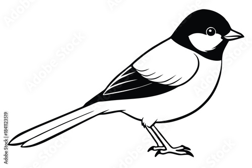 chickadee silhouette line art vector illustration with a white background