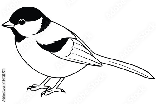 chickadee silhouette line art vector illustration with a white background