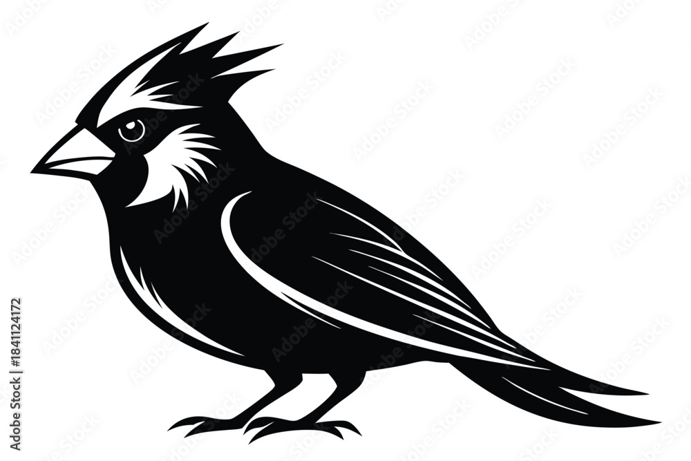 Obraz premium cardinal silhouette line art vector illustration with a white background