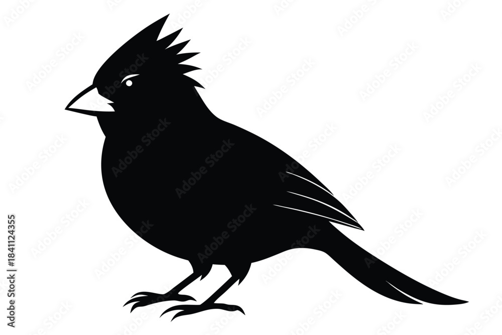 Obraz premium cardinal silhouette line art vector illustration with a white background