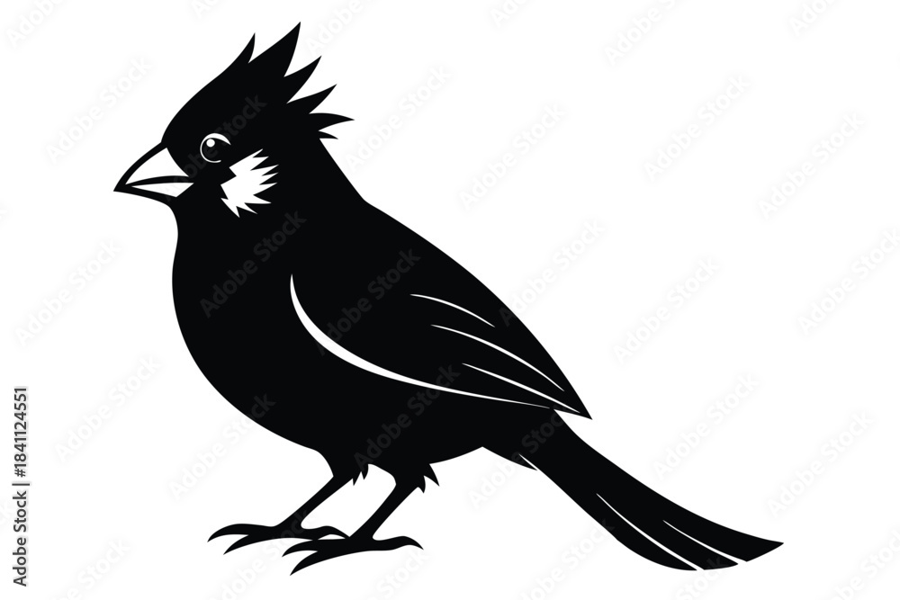 Obraz premium cardinal silhouette line art vector illustration with a white background