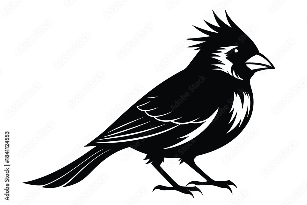 Obraz premium cardinal silhouette line art vector illustration with a white background