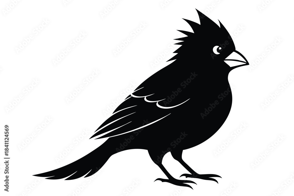 Obraz premium cardinal silhouette line art vector illustration with a white background