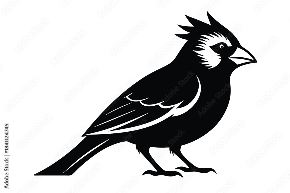 Obraz premium cardinal silhouette line art vector illustration with a white background
