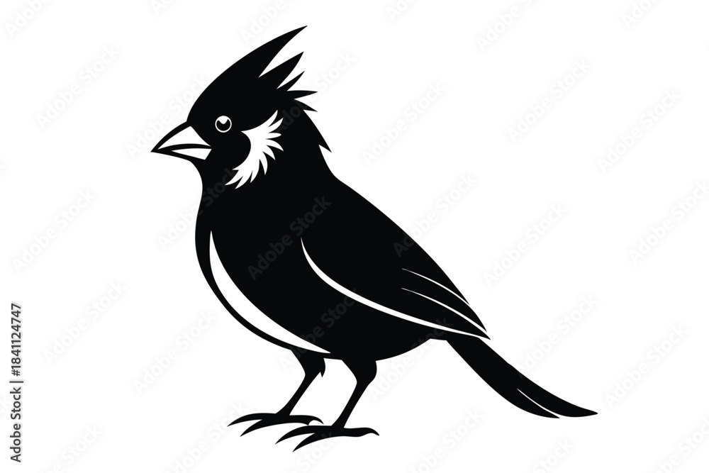 Obraz premium cardinal silhouette line art vector illustration with a white background