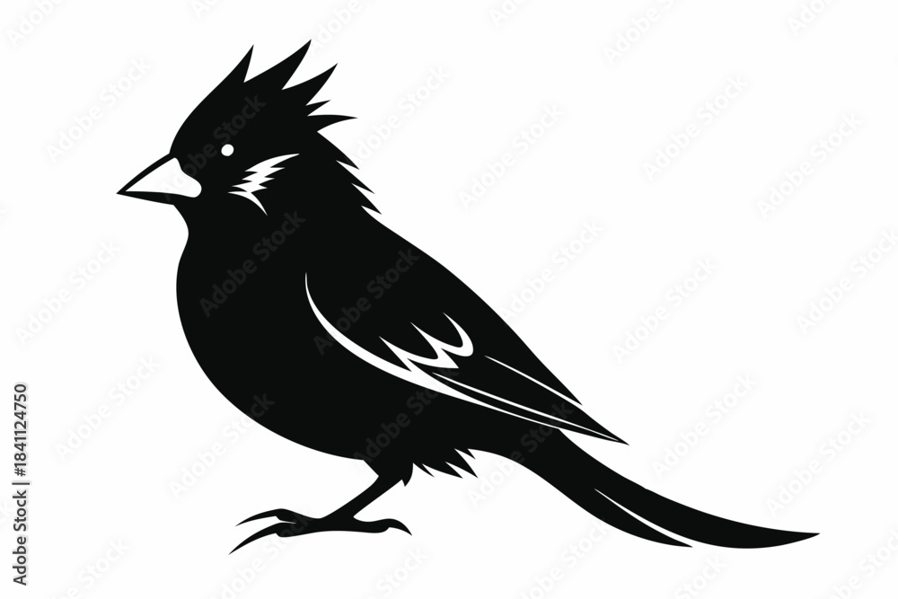 Obraz premium cardinal silhouette line art vector illustration with a white background