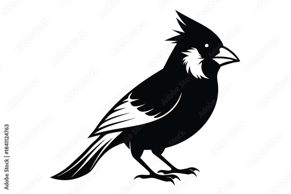 Obraz premium cardinal silhouette line art vector illustration with a white background