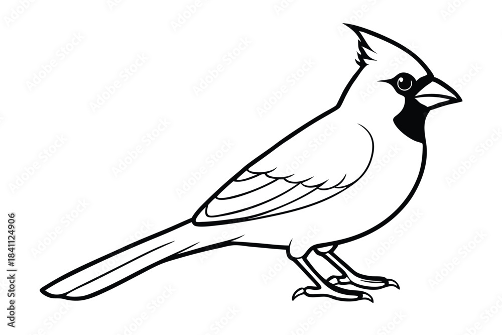 Obraz premium cardinal silhouette line art vector illustration with a white background