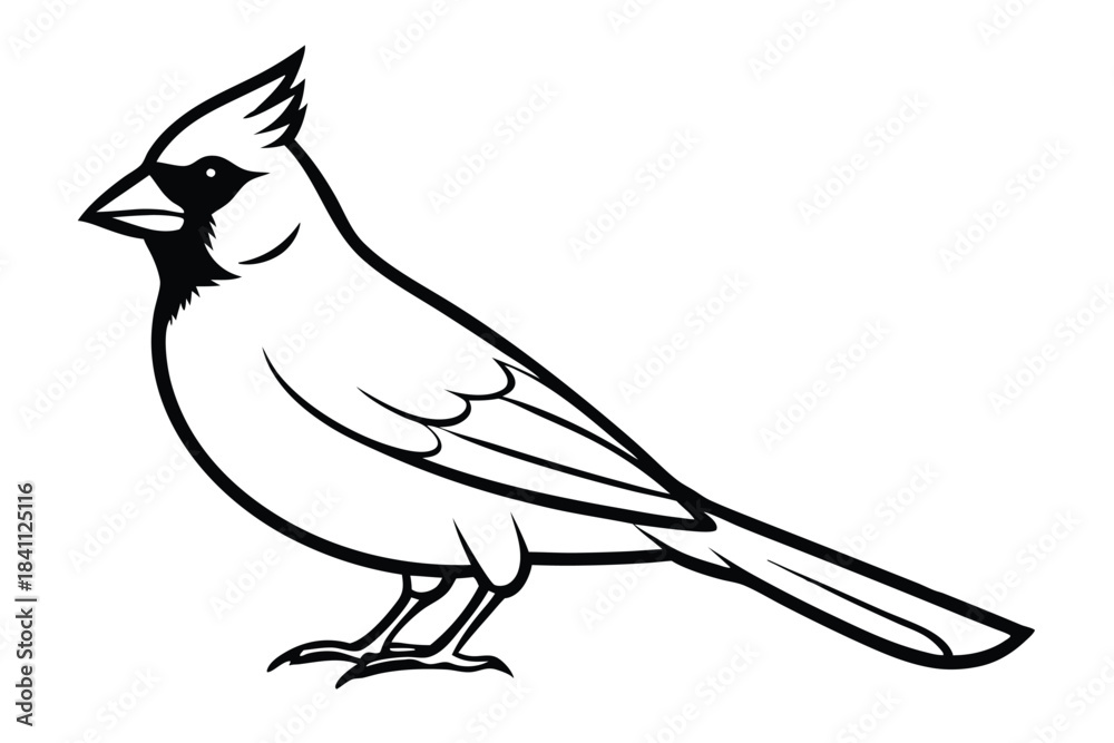 Obraz premium cardinal silhouette line art vector illustration with a white background