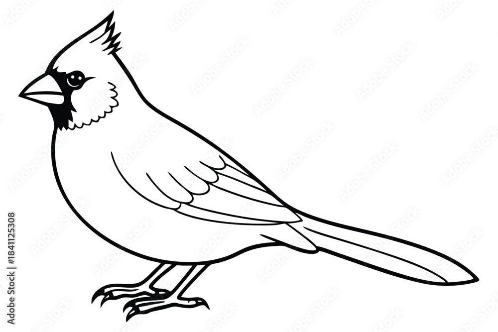Obraz premium cardinal silhouette line art vector illustration with a white background