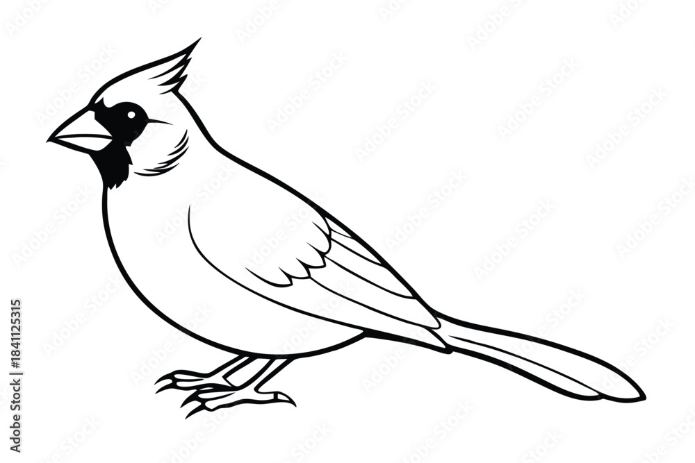 Obraz premium cardinal silhouette line art vector illustration with a white background