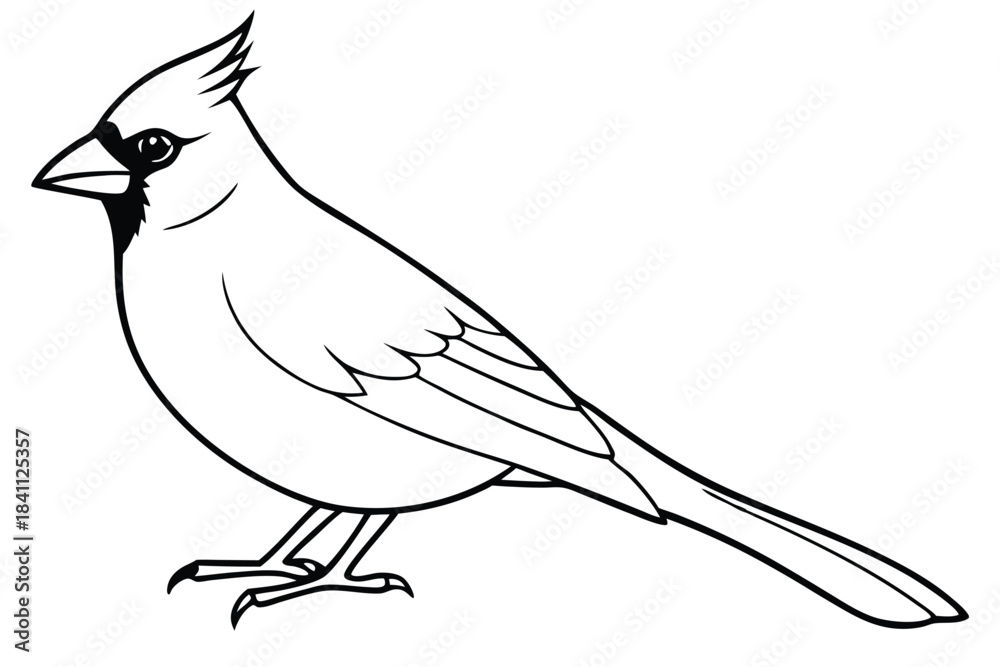 Obraz premium cardinal silhouette line art vector illustration with a white background