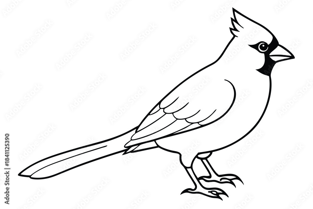 Obraz premium cardinal silhouette line art vector illustration with a white background