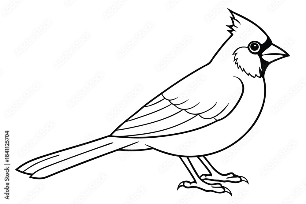 Obraz premium cardinal silhouette line art vector illustration with a white background