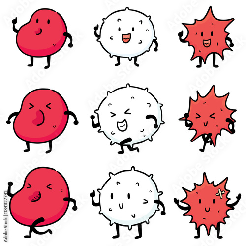 vector set of blood cell
