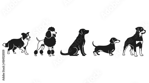 Dog Breeds Silhouette Vector Icons Collection Set
