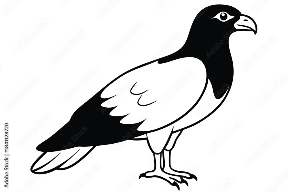 Fototapeta premium buzzard silhouette line art vector illustration with a white background