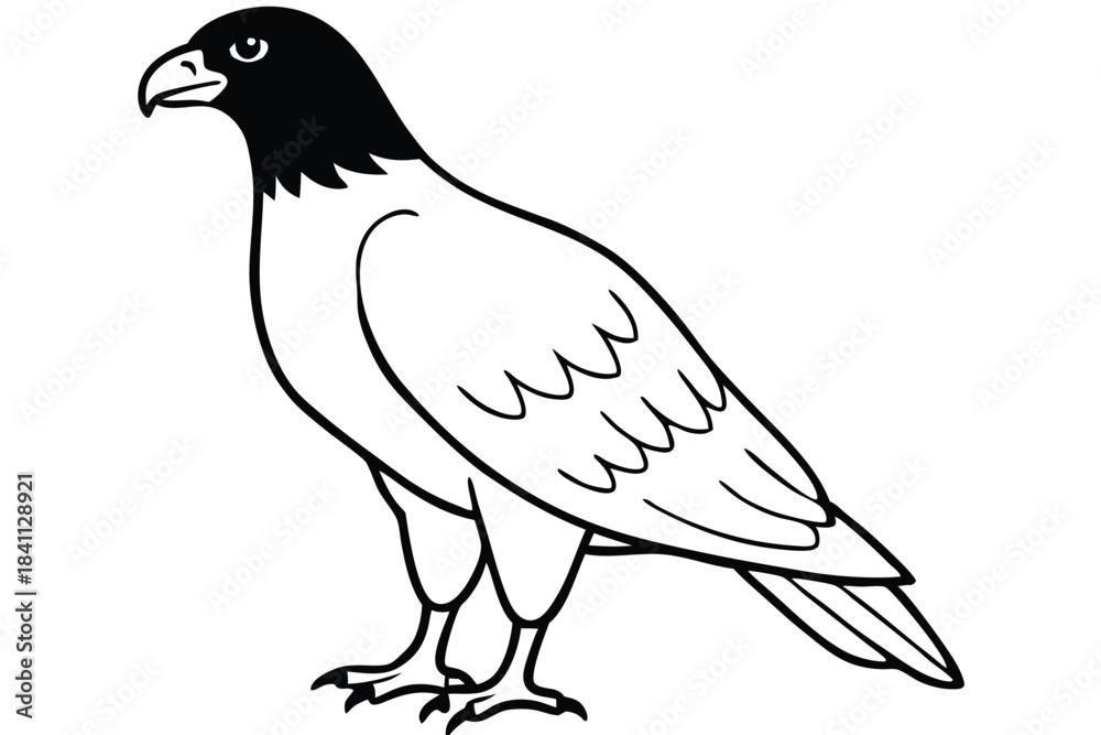 Fototapeta premium buzzard silhouette line art vector illustration with a white background